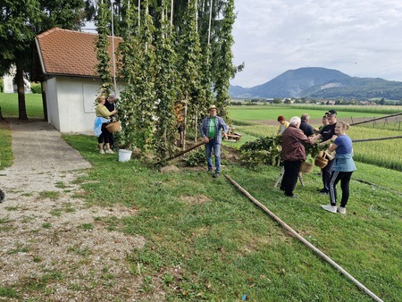 2 Veselo obiranje 1
